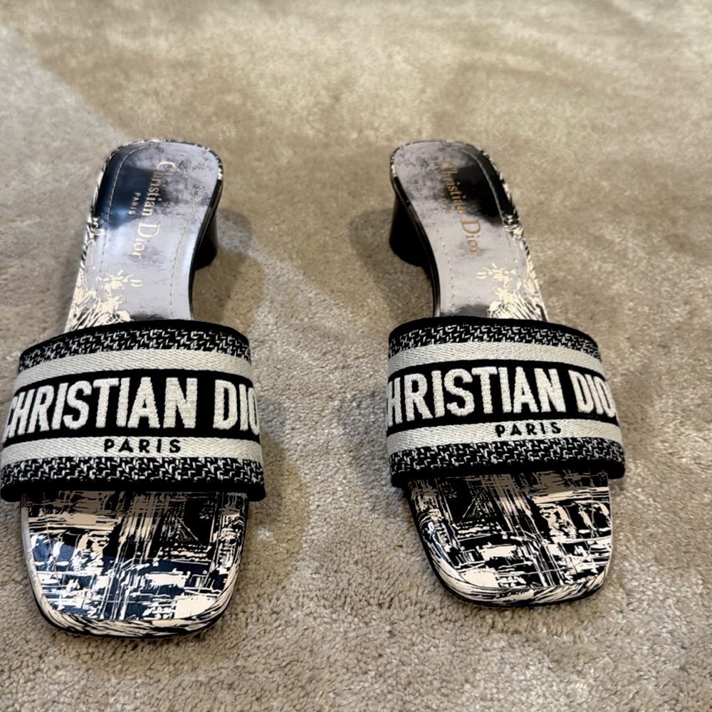 Christian Dior limited edition Statue of liberty sandals